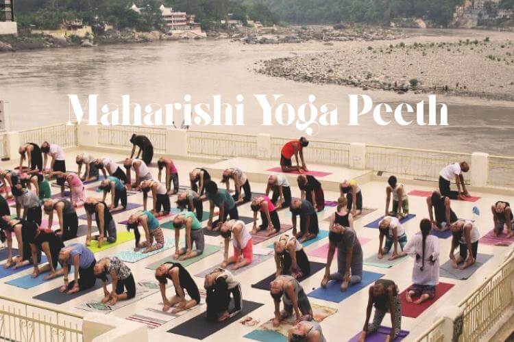 Centre Review : Maharishi Yoga Peeth Rishikesh, India